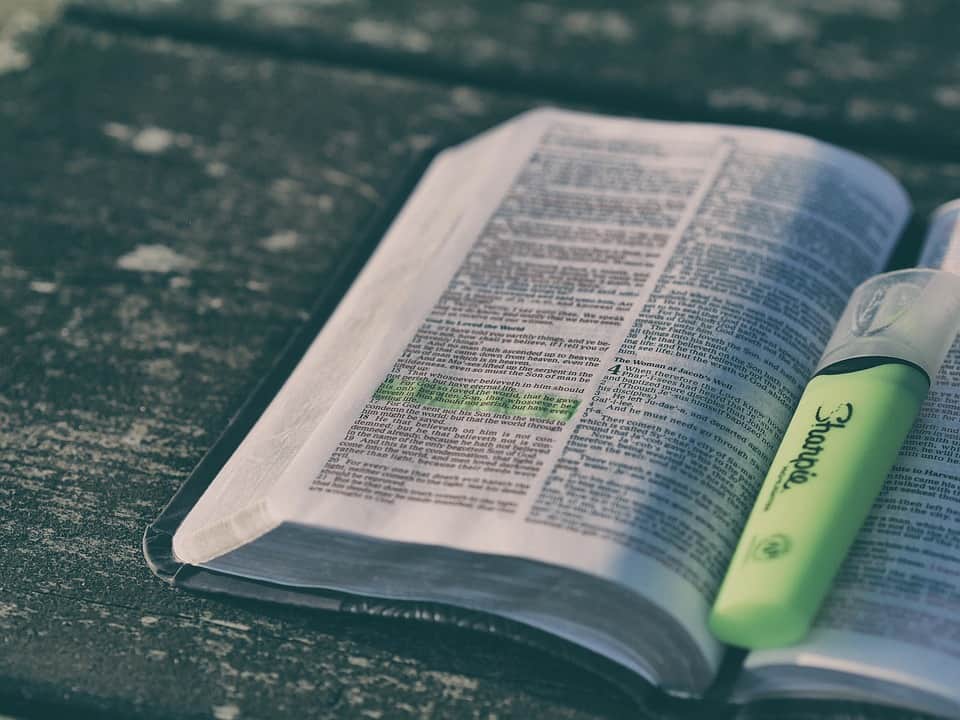 Membaca Alkitab dan renungan harian